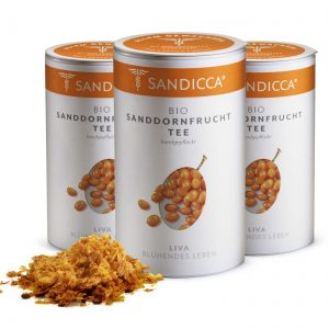 Bio Sanddorn Fruchttee Detox aus Österreich mit Bio Sanddornbeeren