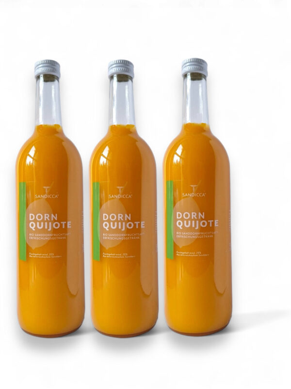 3 x 0,75L DORN QUIJOTE  - Bio Sanddornfruchtsaft Erfrischungsgetränk